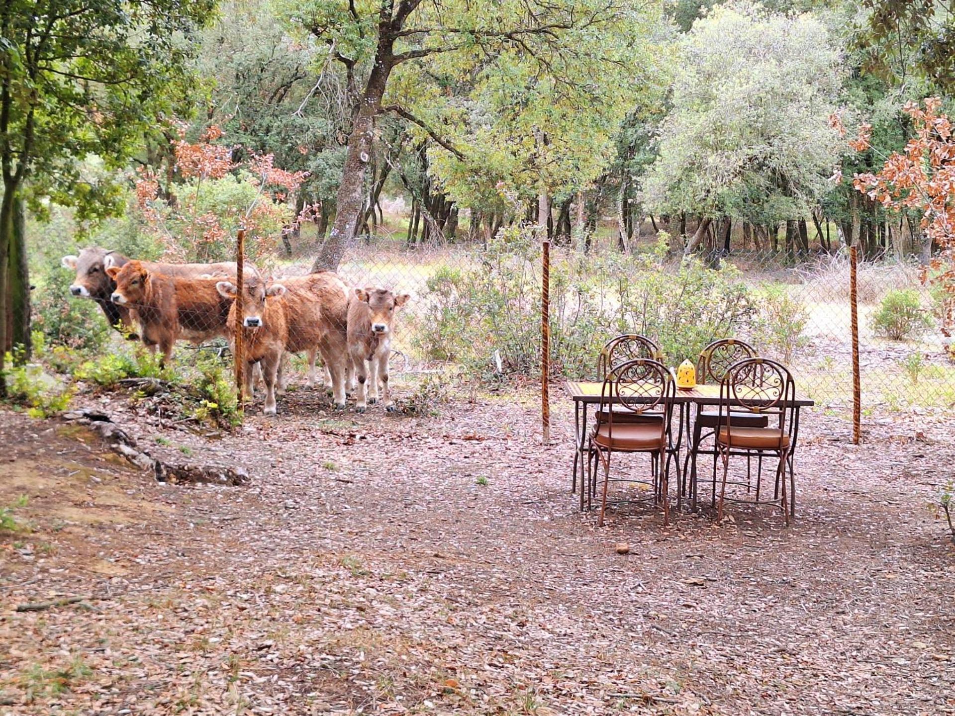 Casa Natura Montseny Barcellona Esterno foto
